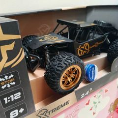 remote control car