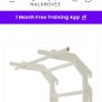 Nala Moves. Multifunctional Wall Mounted Pull Up Bar/Chin Up bar, Dip Station for Indoor Home Gym workout. Image 7