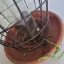 bird feeder Image 3