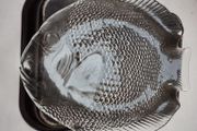 Vintage Pair of "fish" platters