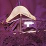 Ted Baker dress Image 5
