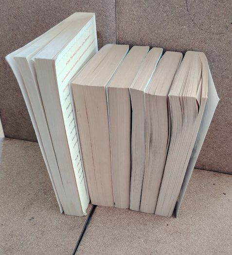 Sue Townsend / Adrian Mole 6-Book Collection Bundle