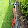 Pinarello Image 5