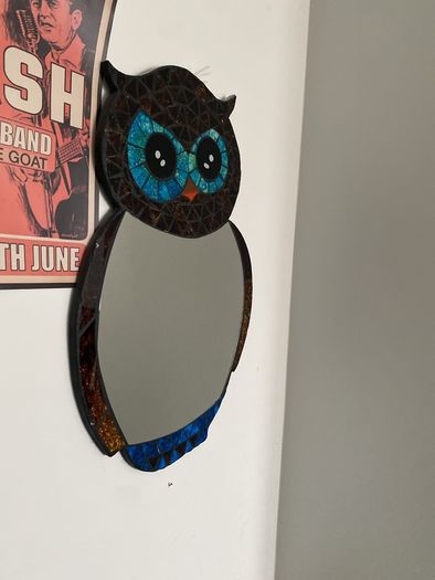 Mirror Hand made Owl