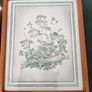 Vintage Herb Botanical pictures Image 2