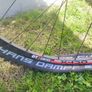 Specialized MTB Image 5