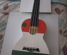 Brunswick BU50CIRE Ukulele Concert ABS Ireland Tricolour Flag