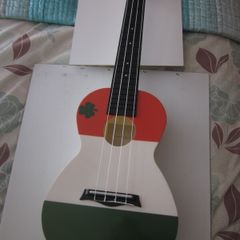 Brunswick BU50CIRE Ukulele Concert ABS Ireland Tricolour Flag