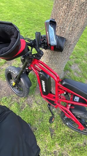 Electric Bike Hidoes B6
