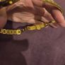 Ladies Tissot 1853 Yellow Gold plate watch - Fully working Image 10