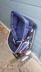 dog buggy