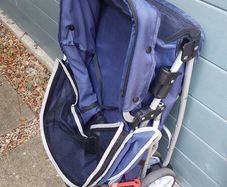 dog buggy