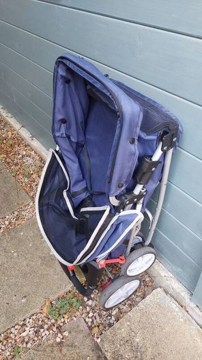 dog buggy
