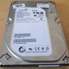 HDD Seagate 500GB (Big)