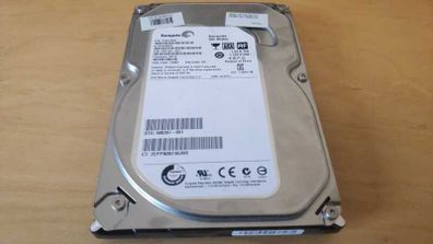 HDD Seagate 500GB (Big)
