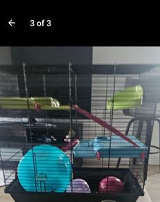 Hamster cage
