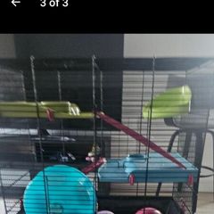 Hamster cage