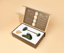 TwinSkin Beauty Skin Harmony Gua Sha Set