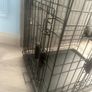 Dog Crate / Dog Cage Image 4