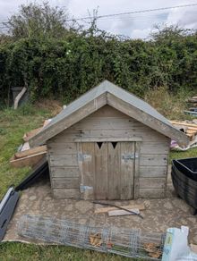 xl dog kennel/ house