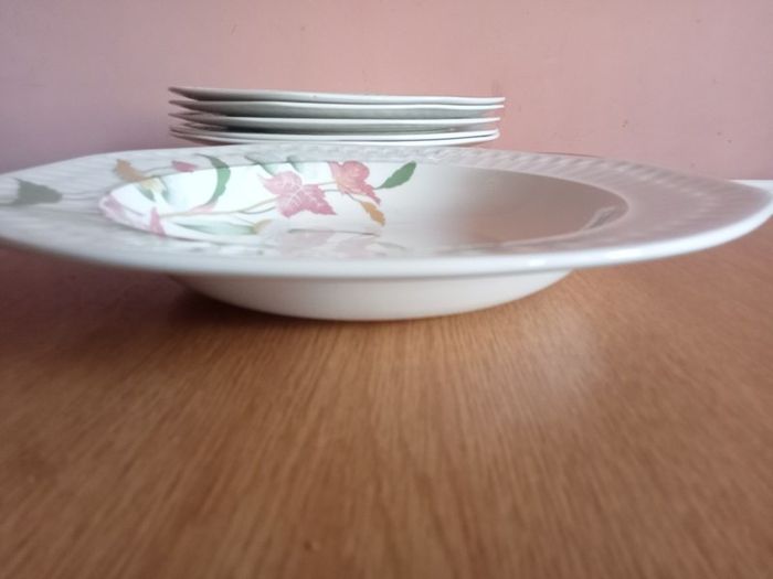 1970' PONTESA Spain Porcelain  Large Pasta Bowls x 6