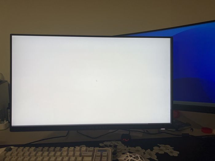Alienware 25 Gaming Monitor 320Hz AW2525HM Mint Condition plus FREE Gift