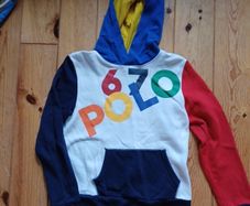 Age 14-16 Ralph Lauren Polo Hoodie
