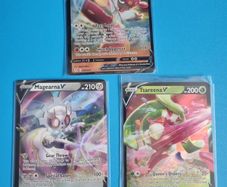 Pokemon V Bundle