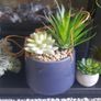 faux potted plants Image 3