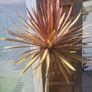 Palm Tree Image 2