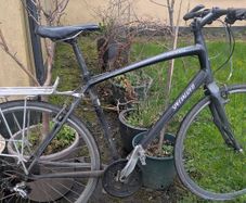 Specialized Sirrus 56cm