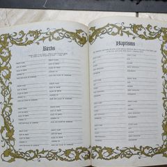 New American Bible