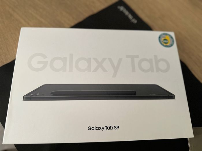 Samsung Galaxy Tab S9 256GB