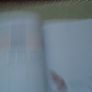 The Gratitude Journal, Lisa Dyer, Paperback , Journal, Image 4