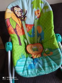 bright sparks vibrating bouncer