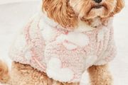 Dog Coat