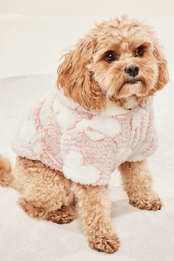 Dog Coat