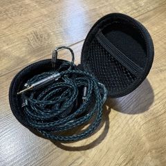 Tripowin zonie 2 pin iem cable