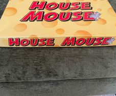 Rare Irish Board Game House Mouse Eblana Games