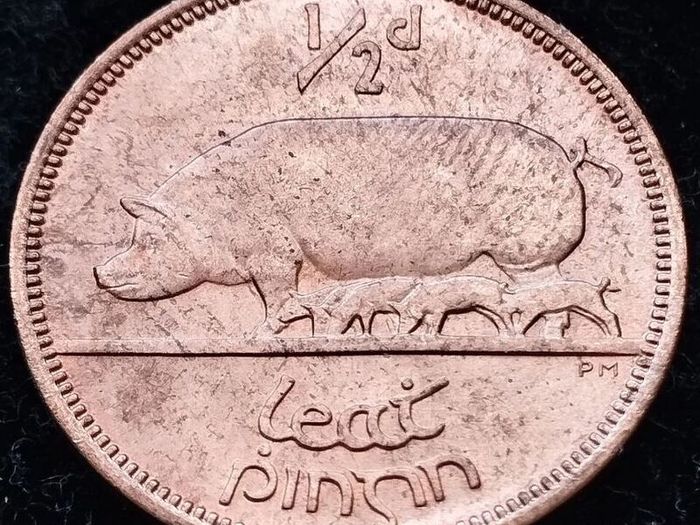 [#304] - Ireland 1967 | Irish 1/2d | Irish Half Penny | KM.10 | UNC