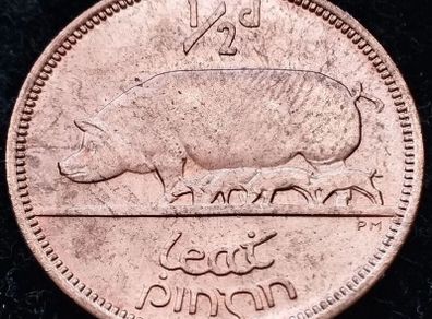[#304] - Ireland 1967 | Irish 1/2d | Irish Half Penny | KM.10 | UNC