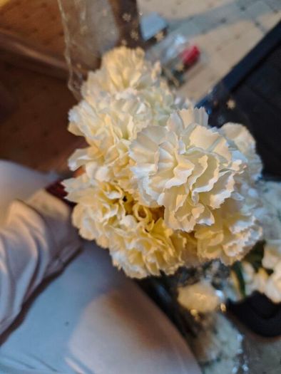 Cream carnation bundle X4 wholesale