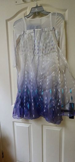 Elsa costume