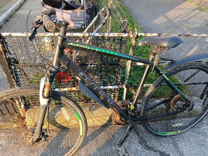 carrerra bike