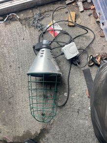 heat lamp