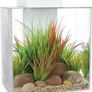 fish tank for sale Image 5