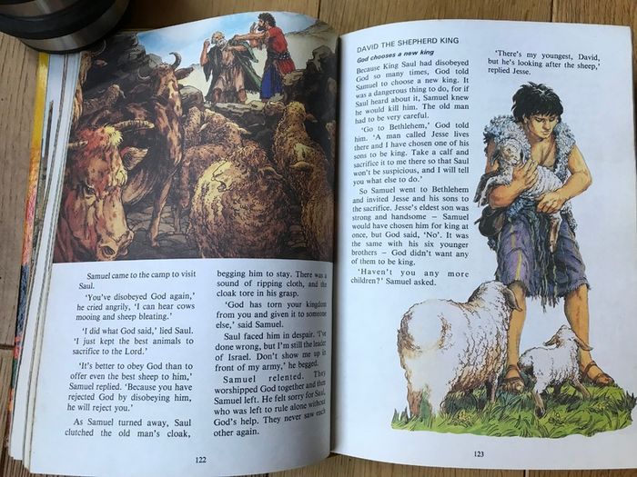 The Ladybird Bible Story Book