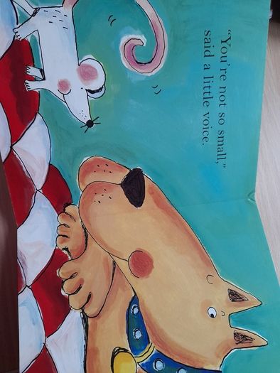Hardback board book 'As big as a Pig'