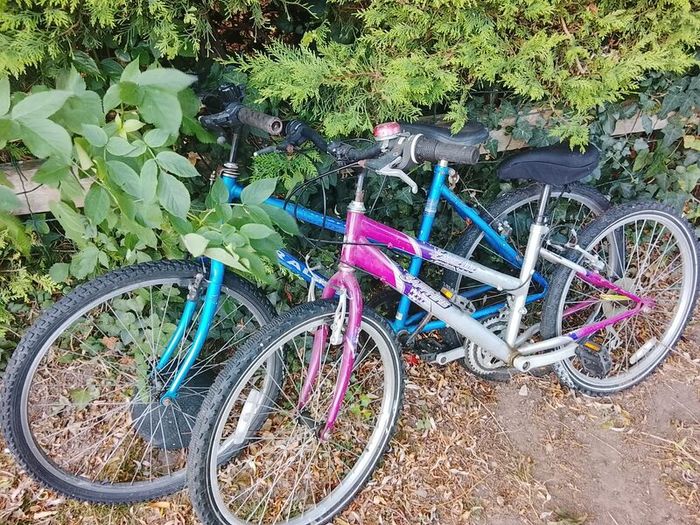 teenager girls bike