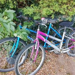 teenager girls bike